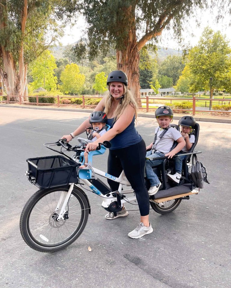 A Complete Guide to Choosing the Best Electric Cargo Bike