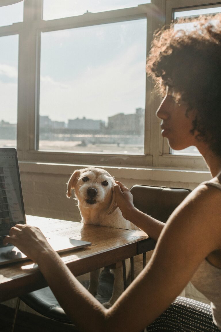 3 Signs You’re Ready to Own A Pet Business